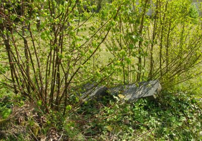 Kmínek Michal, 2020