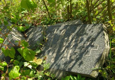 Kmínek Michal, 2020