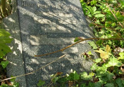 Kmínek Michal, 2020