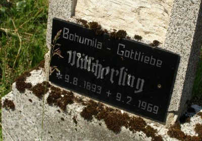 Kmínek Michal, 2020