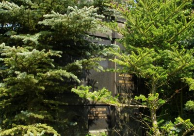 Kmínek Michal, 2020