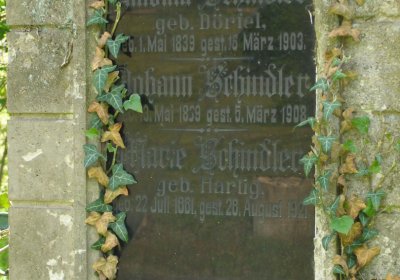 Kmínek Michal, 2020