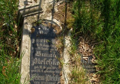 Kmínek Michal, 2020