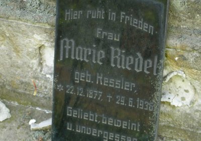 Kmínek Michal, 2020