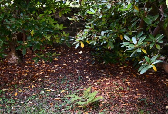 Omnium, 2020