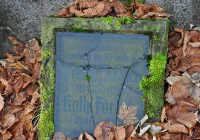 Kytlice, Omnium, 2020