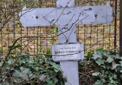 Kytlice, Omnium, 2020