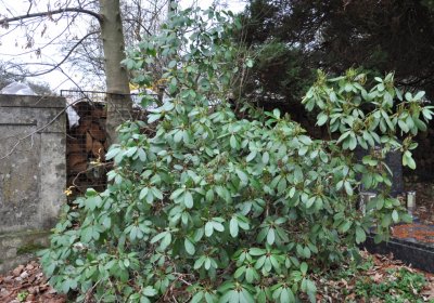 Kytlice, Omnium, 2020