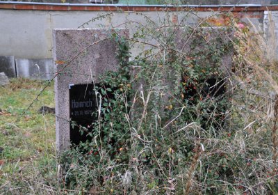 Kytlice, Omnium, 2020