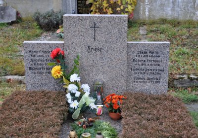 Kytlice, Omnium, 2020