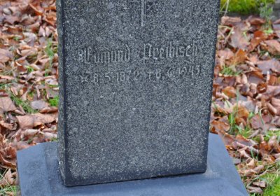 Kytlice, Omnium, 2020