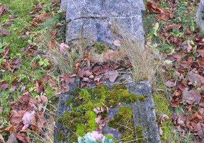 Kytlice, Omnium, 2020