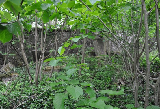 Omnium, 2020