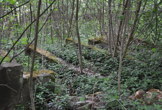 Omnium, 2020