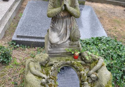 Kostelec nad Ohří, Omnium, 2020