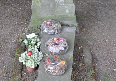 Kostelec nad Ohří, Omnium, 2020