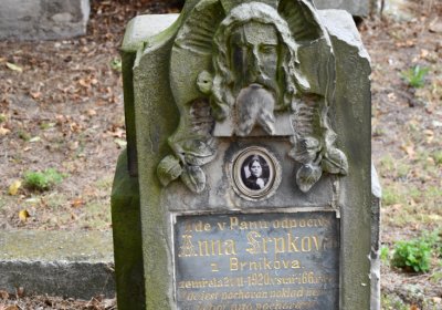 Kostelec nad Ohří, Omnium, 2020