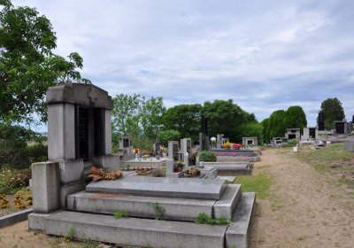 Nížebohy, Omnium, 2020