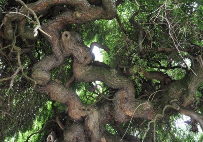 Nížebohy, Omnium, 2020