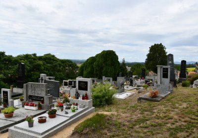 Nížebohy, Omnium, 2020