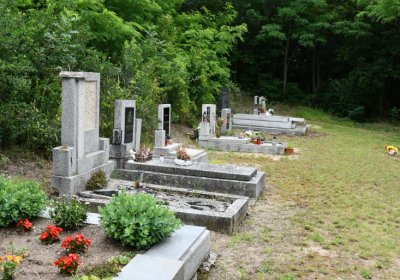 Nížebohy, Omnium, 2020