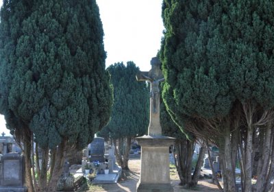 Dolánky nad Ohří, Omnium, 2020