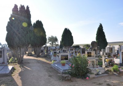 Dolánky nad Ohří, Omnium, 2020