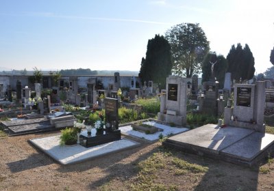 Dolánky nad Ohří, Omnium, 2020