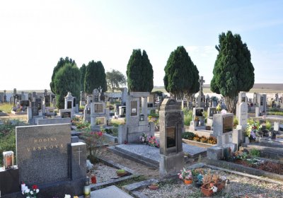 Dolánky nad Ohří, Omnium, 2020