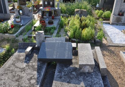 Dolánky nad Ohří, Omnium, 2020