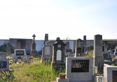 Dolánky nad Ohří, Omnium, 2020