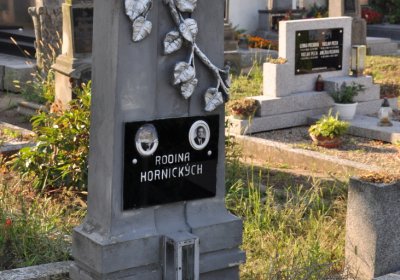 Dolánky nad Ohří, Omnium, 2020