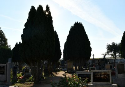 Dolánky nad Ohří, Omnium, 2020