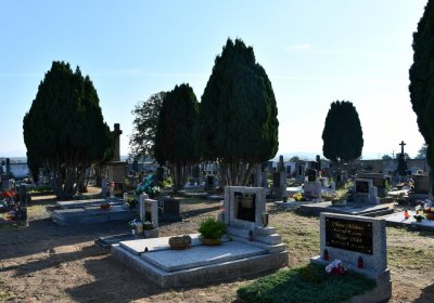 Dolánky nad Ohří, Omnium, 2020