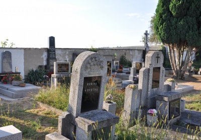 Dolánky nad Ohří, Omnium, 2020