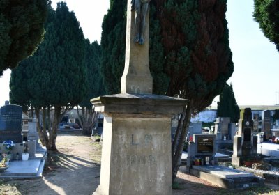 Dolánky nad Ohří, Omnium, 2020