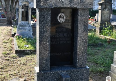 Dolánky nad Ohří, Omnium, 2020