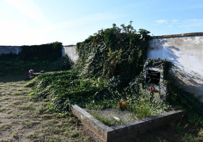 Dolánky nad Ohří, Omnium, 2020