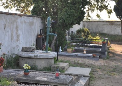 Dolánky nad Ohří, Omnium, 2020