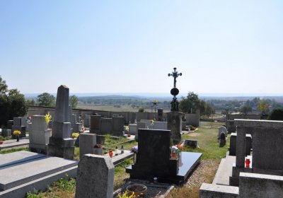 Solany, Omnium, 2020