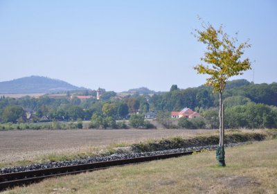 Solany, Omnium, 2020