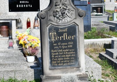 Solany, Omnium, 2020