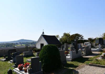 Solany, Omnium, 2020