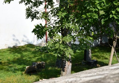 Křesín u kostela, Omnium, 2020