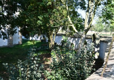 Křesín u kostela, Omnium, 2020