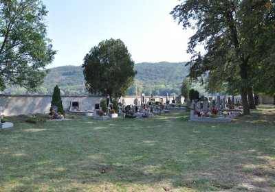 Křesín obecní, Omnium, 2020