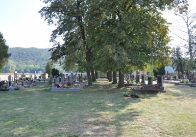 Křesín obecní, Omnium, 2020