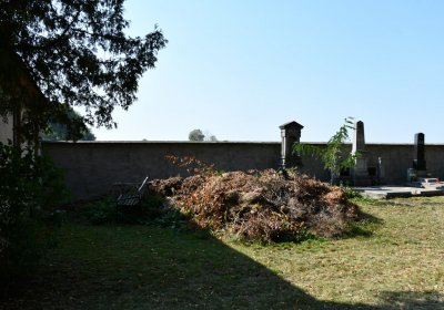 Křesín obecní, Omnium, 2020