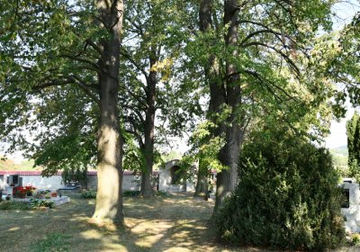 Levousy, Omnium, 2020