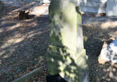 Levousy, Omnium, 2020